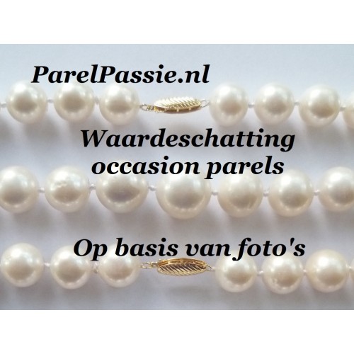 Zuivelproducten wasserette Broek Waardeschatting parels aan de hand van foto's taxatie schatting verkoopprijs