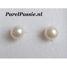 Pareloorknoppen witte 8-9mm ronde oorstekers zilver AA - AAA y