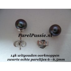 Zwarte parels witgouden oorstekers kleine ronde zoetwater 14k 585 y